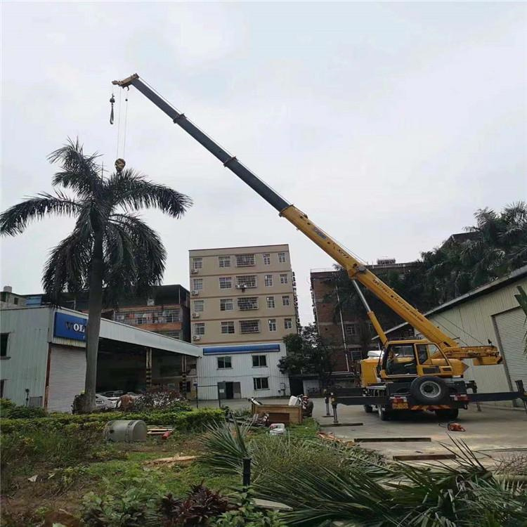 南林乡汽车吊出租多少钱？全面解析与市场行情